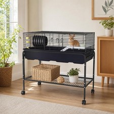 Indoor Rabbit Case Rat Rat
