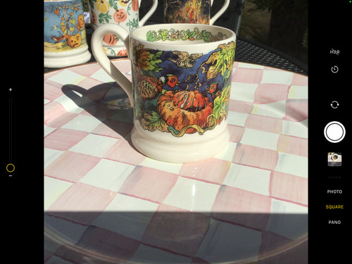 Emma bridgewater pt mug - 1/2,