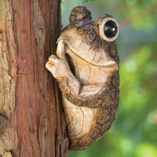 Wall mount Frog Garden
