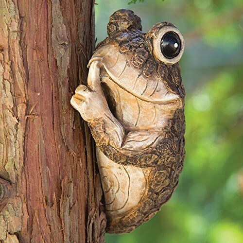 Wall mount frog garden - frog,