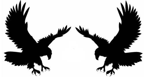 Hawk eagle attack wall art - eagle,