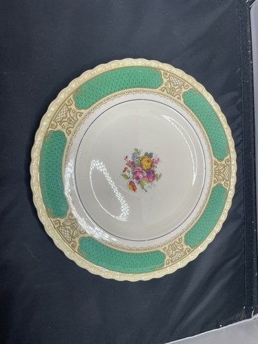 Vintage myott plate - myott,