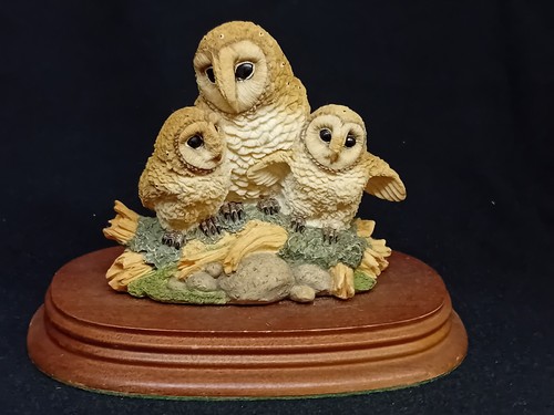 Leonardo owl owlets - 'owl, owlets'