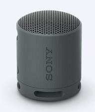 Sony SRS-XB100 Portable