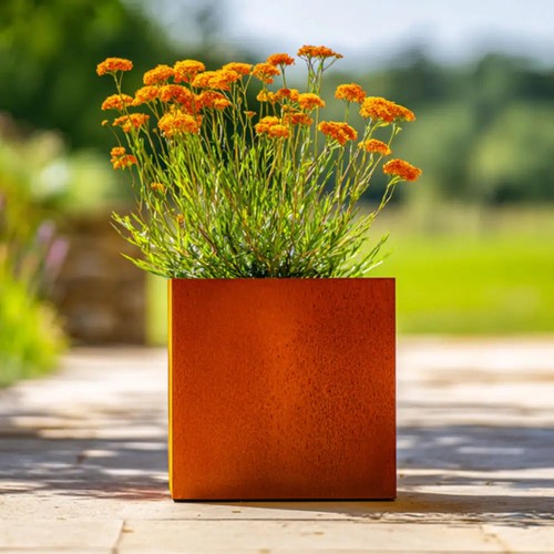 Corten steel cube planter with - corten,