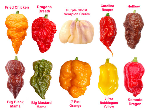 Worlds hottest chilli 120 - worlds,
