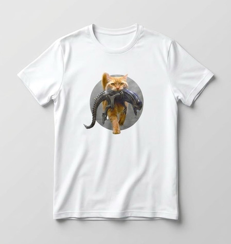 White shirt orange cat - -,