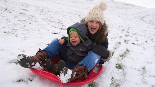 Heavy duty sledge large adults - duty,