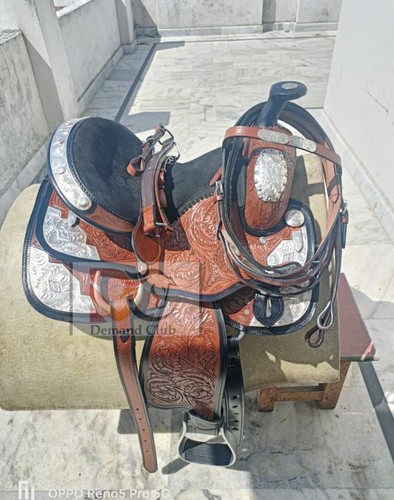 Premium western show horse - show,