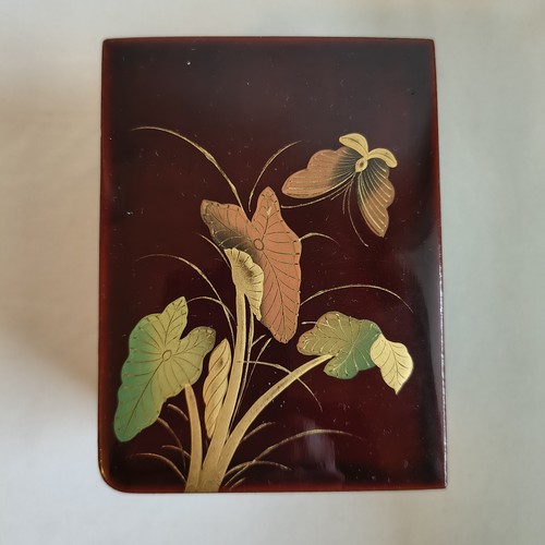 Antique japanese lacquer - antique,