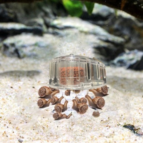 Aquarium fish grass tank - fish,