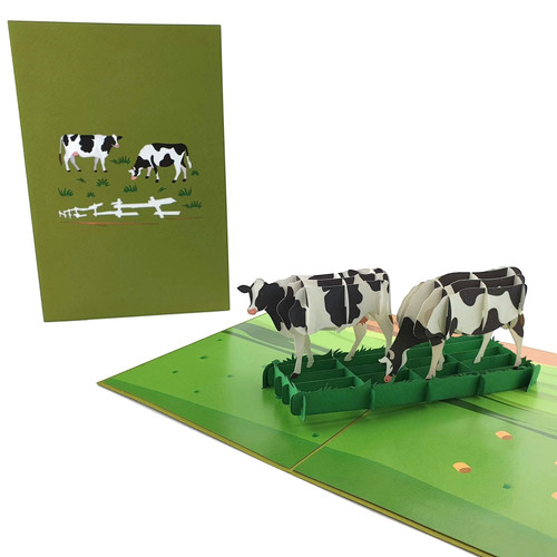 Dairy cow farm pop up - dairy, a
