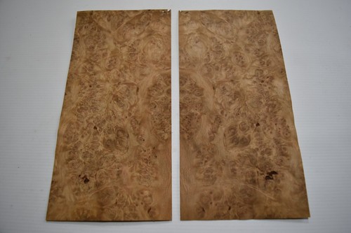 Oak burr burl 2 - burr, /