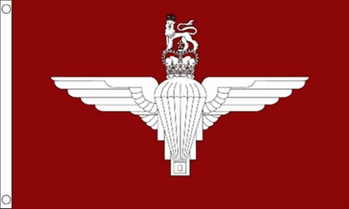 Parachute regiment flag - parachute,