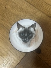 Siamese Cat Plate Lancaster Hornsea  Ltd 11cm VGC