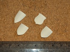 Warhammer Fantasy (AoS)