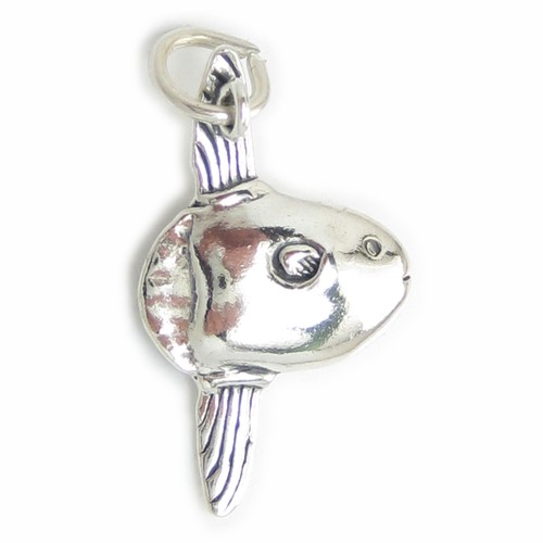 Mola fish sunfish - mola,