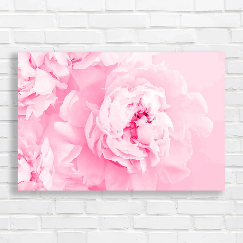 Blooming pastel peony - pastel,