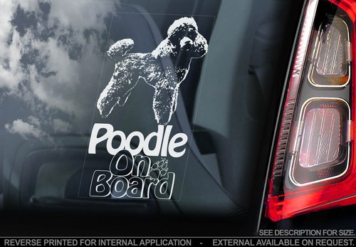 Poodle car window - poodle,