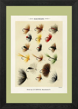 Vintage Fly Fishing Lures Framed Wall Art Poster Canvas Print Picture