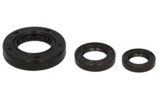 Fits WINDEROSA W822331 Engine