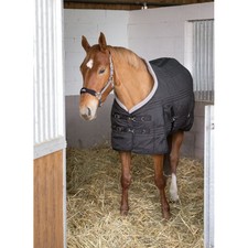 Ekkia Equi-Theme 400g Stable