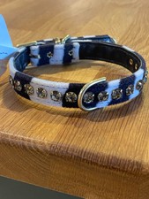 Mirage new stunning zebra dog