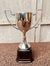 🏆 Silver Swatkins Trophy