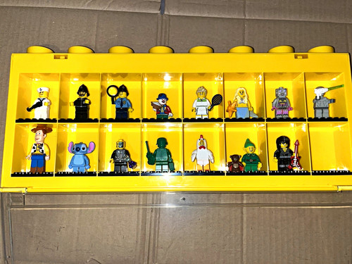 Mini figure case includes all