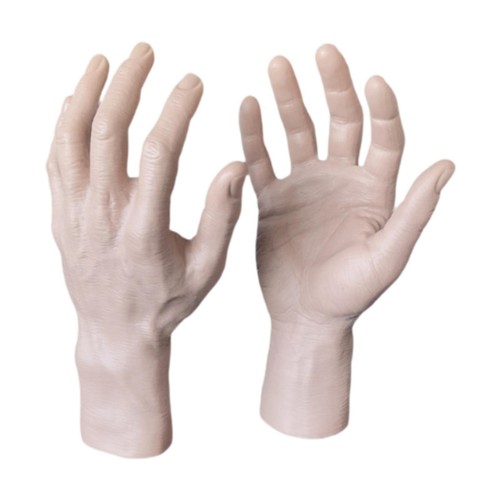 Male hand model - male,