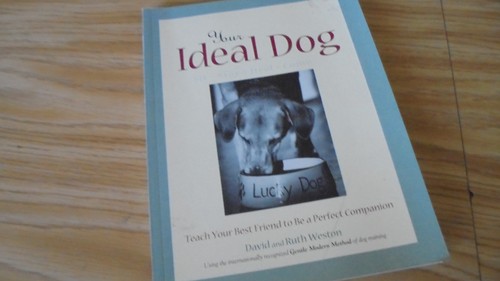 Your ideal dog david - david, weston