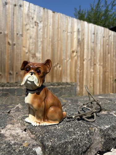 Stunning antique boxer - stunning, bulldog