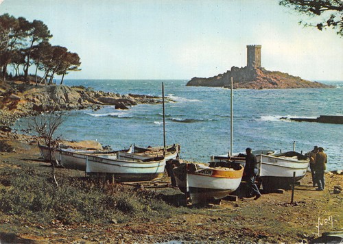 Esterel 4405 b - 83-esterel-n�, 4405-b/0221