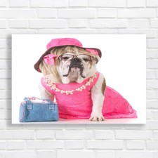 Fashionable female english - female,