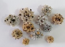  12 Handmade Paper Flower Balls / Baubles. Home Decor