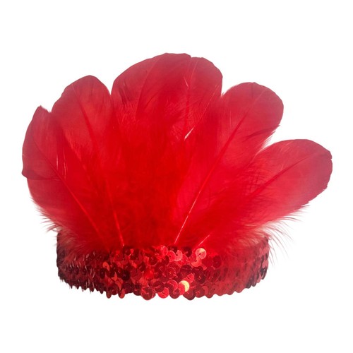 Feather headband headwear for - feather,