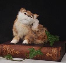 Taxidermy Real Fur Kitty Cat Toy