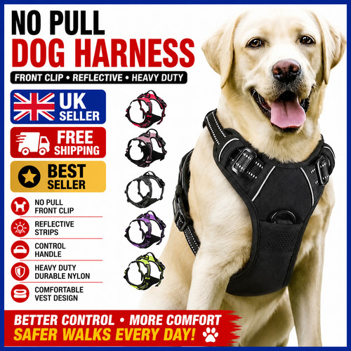 Pull dog harness front - dog,