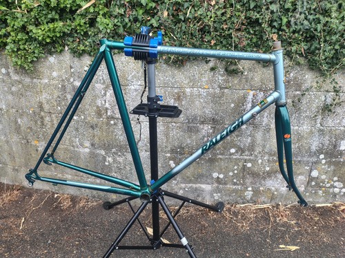 Retro 1992 raleigh pro - raleigh, race