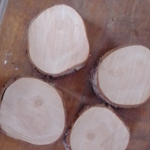 Round wood log - log, bark
