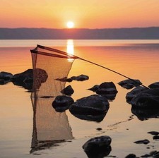 Nash Air Force F40 Landing Net