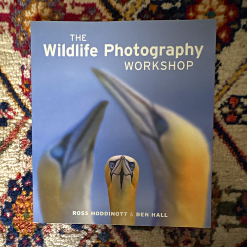 The wildlife photography - the,