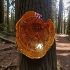 Beautiful Wood Slab Clock Tree