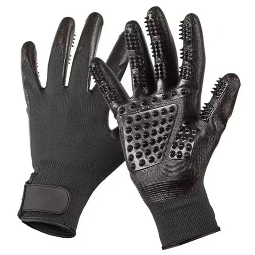 Horse pet dog - dog, gloves