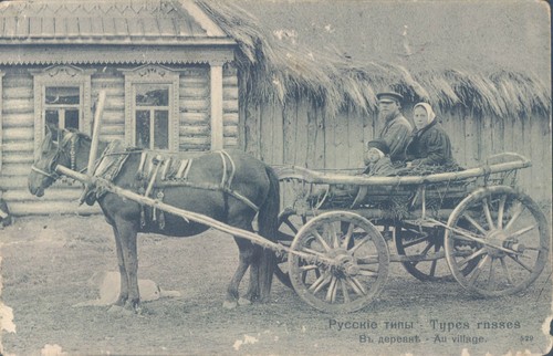 Russia russian types horse - russia,