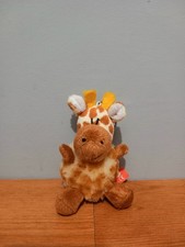 Cute Small Giraffe Animal