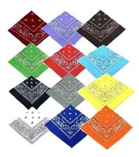Bandana paisley mouth - bandana,
