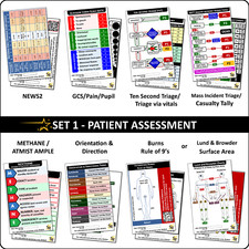 Set 1 Patient Assessment Badge