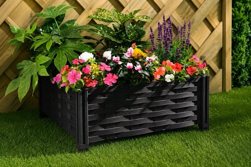 Raised flower bed planter - flower,