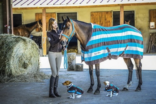 Bnwt equitheme striped - bnwt,